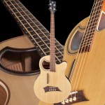 Acoustic-Electric Bass