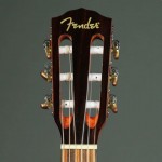 Fender