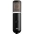 AKG P820 Tube Large-diaphragm Tube Condenser Mic