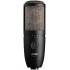 AKG Perception 420 Large Diaphragm Multi-Pattern Studio Microphone