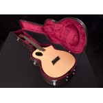 เคสกีต้าร์โปร่ง Acoustic guitar case