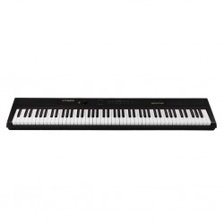 Artesia Performer 88 Key Semi Weighted Digital Piano