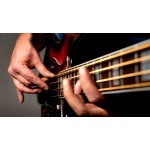 Bass Strings