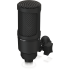 BEHRINGER BX2020 Studio Condenser Mic