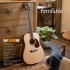 Cort Earth100 Acoustic Guitar