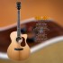 Cort Gold OC-8 Acoustic Guitar