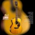 Cort L300V