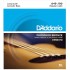 D’Addario EPBB170 Phosphor Bronze Acoustic 4 String Bass 045 065 080 100