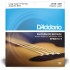 D’Addario EPBB170-5 Phosphor Bronze Acoustic 5 String Bass 045 065 080 100 130