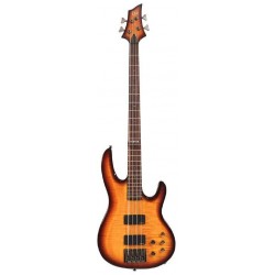 ESP LTD B-254