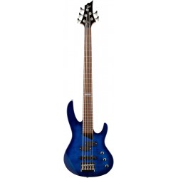 ESP LTD B-55FM