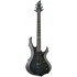 ESP LTD F-100FM