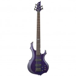 ESP LTD F-155DX