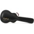 EPIPHONE ACOUSTIC EL-00 HARD CASE