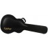 EPIPHONE ACOUSTIC JUMBO HARD CASE