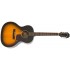 EPIPHONE EL-00 PRO ACOUSTIC