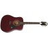 EPIPHONE PRO-1 ACOUSTIC