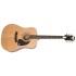 EPIPHONE PRO-1 PLUS ACOUSTIC