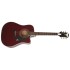 EPIPHONE PRO-1 ULTRA ACOUSTIC / ELECTRIC