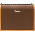Fender Acoustic 100