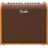 Fender Acoustic 200