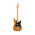 Fender American Professional II Stratocaster (Roasted Pine Body)