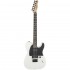 Fender Jim Root Telecaster