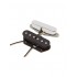 Fender Shaw Hot 50’s Telecaster Pickup Set