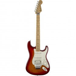 Fender Standard Stratocaster Plus Top w/ Floyd Rose