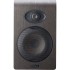 Focal Shape 50 ( Single )