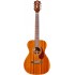 Guild M-120E