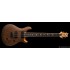 PRS SE Mark Holcomb SVN 7-string