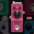 Ibanez ADMINI Analog Delay