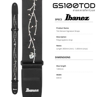 Ibanez GS100TOD