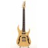 Ibanez PGM80P-NT (Signature Paul Gilbert)