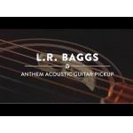 LR Baggs