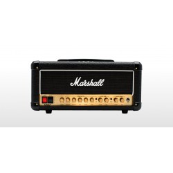 Marshall DSL20HR Head