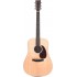 Martin D-13E Road Series