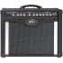 Peavey Envoy 110