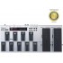 Roland FC-300 MIDI Foot Controller