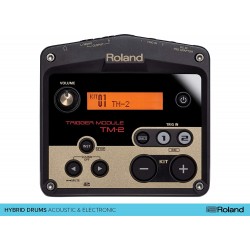 Roland TM-2 Trigger Module