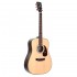 Saga SF800 Acoustic Guitar
