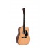 Sigma Guitars DM-1