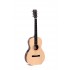Sigma Guitars OOMSE