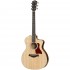 TAYLOR 214CE-K-DLX