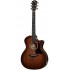 TAYLOR 324CE V-CLASS SEB TOP/ FREE CASE