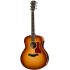 TAYLOR 518E F.LTD-[FREE CASE]