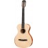 TAYLOR ACADEMY 12E-NYLON STRINGS [FREE BAG]