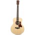TAYLOR GS MINI ROSEWOOD [FREE BAG]