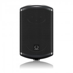 TURBOSOUND IMPACT TCI32T PASSIVE LOUDSPEAKER 3.5″